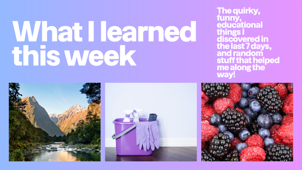 What I learned this Week: The Quirky and Educational things I leaned and the products that helped me along the way!